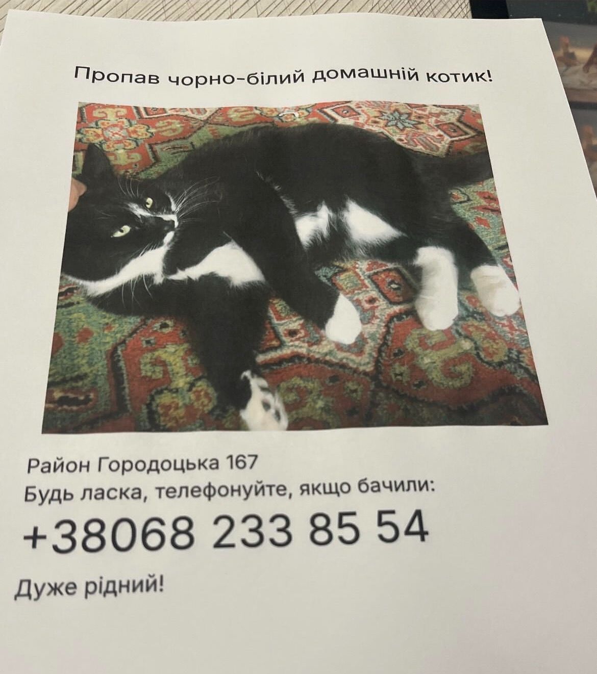 Зникла чорно-біла кішка на Городоцькій, 167